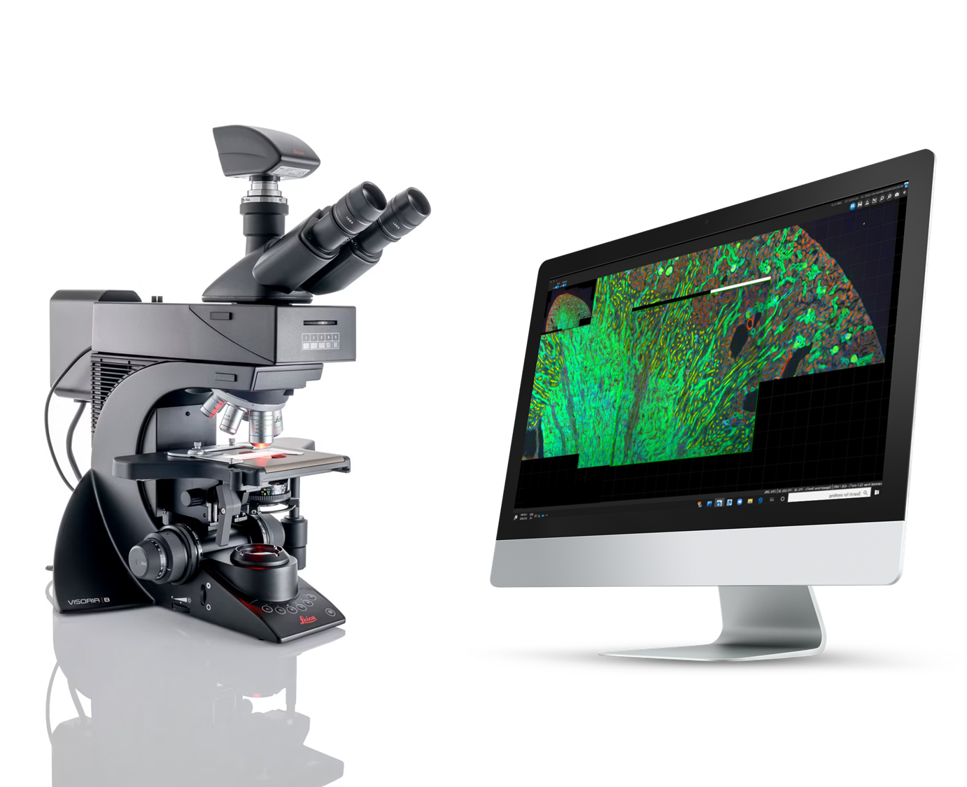 Leica Visoria B with mvSlide Fluorescence Edition
